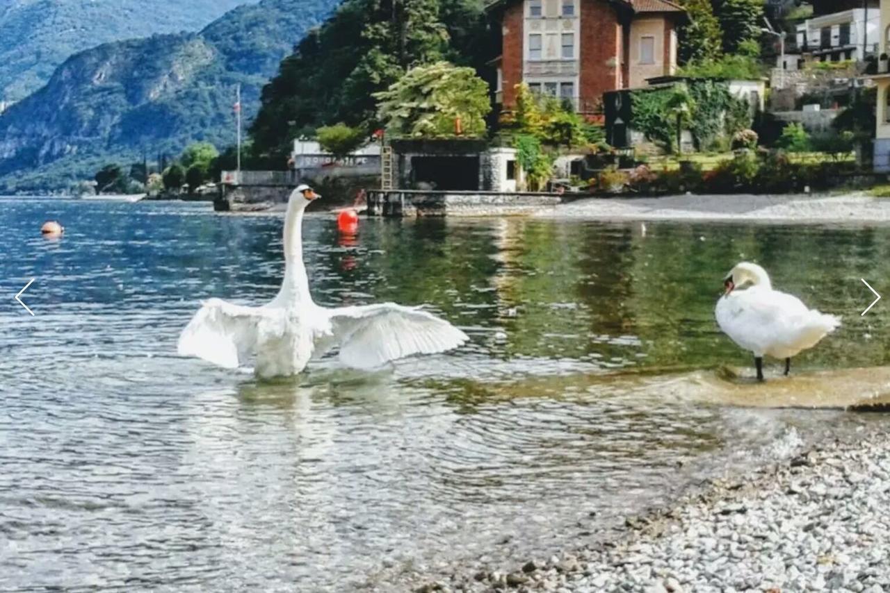 Le Grigne Guest House Oliveto Lario Eksteriør bilde