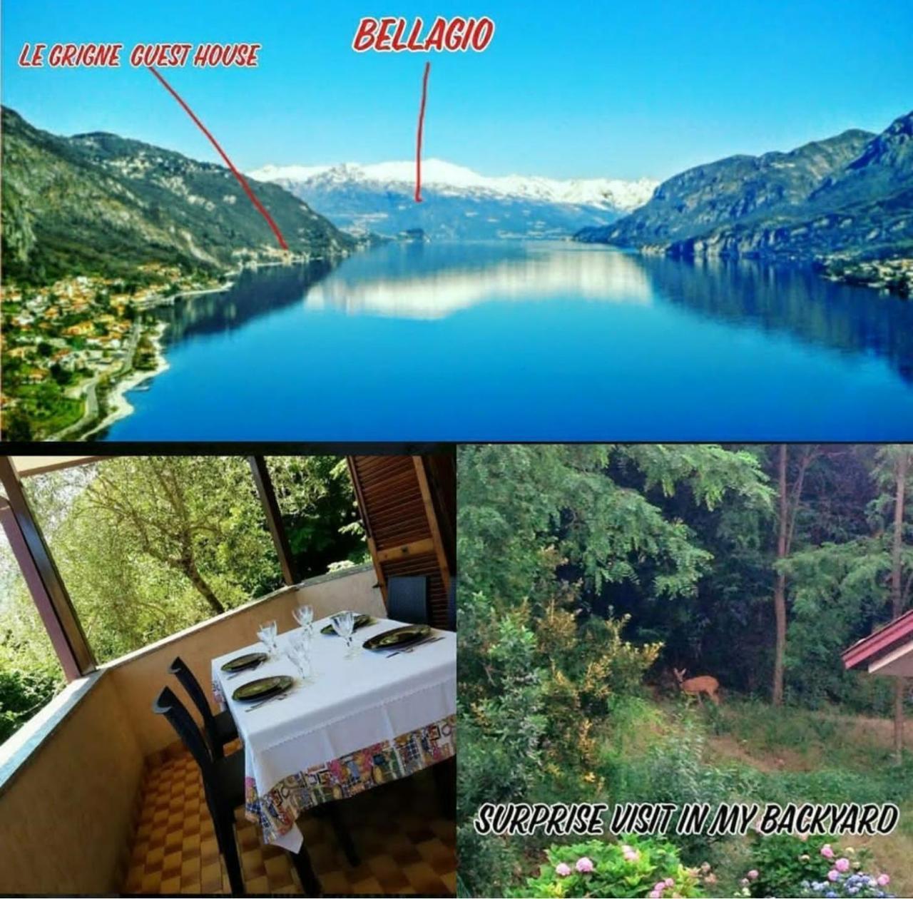 Le Grigne Guest House Oliveto Lario Eksteriør bilde